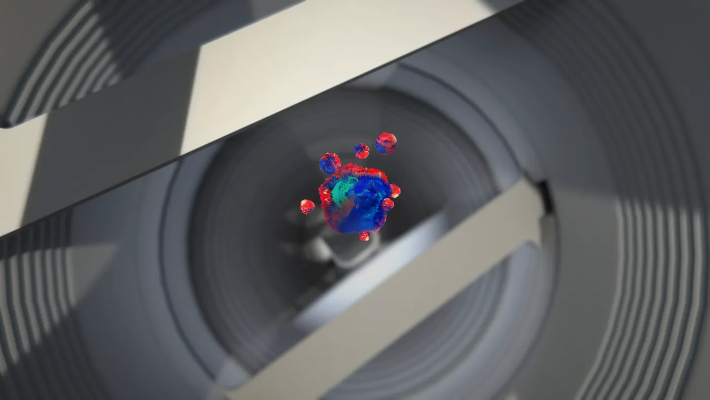 Project Image 1
