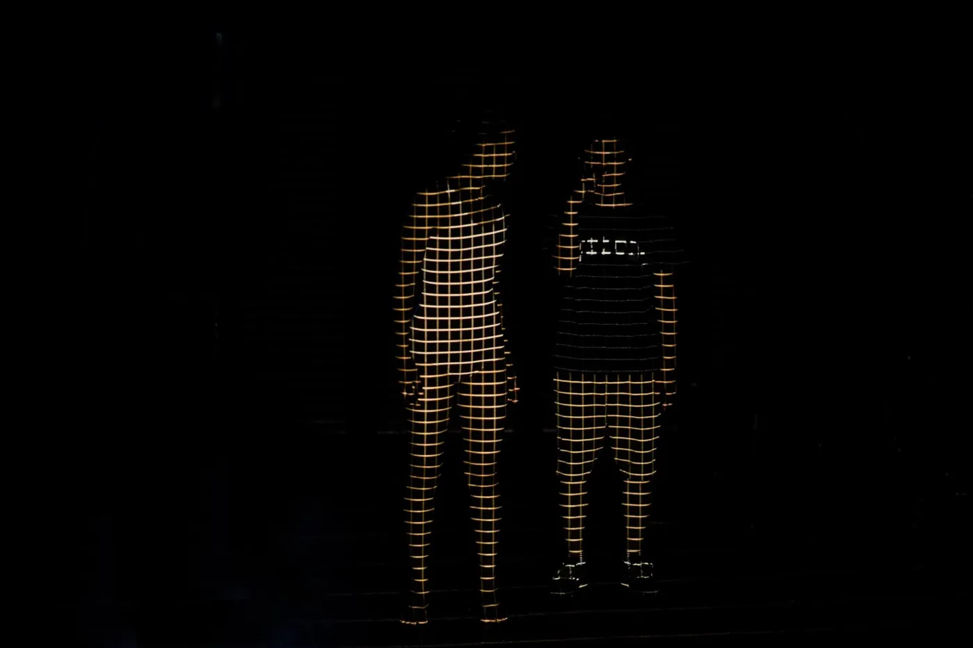 Project Image 1