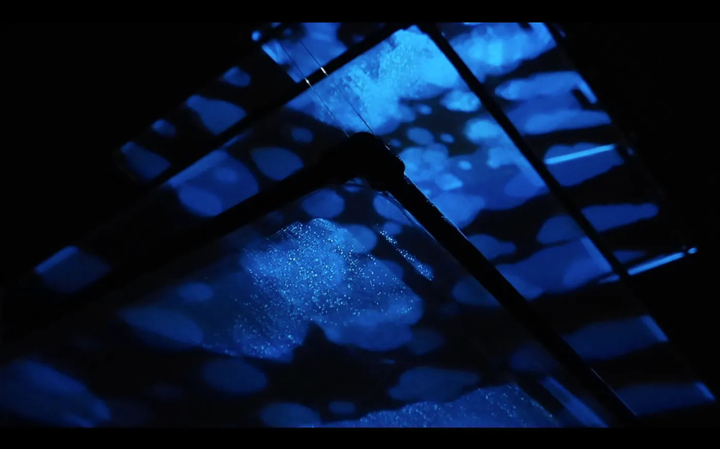 Project Image 1